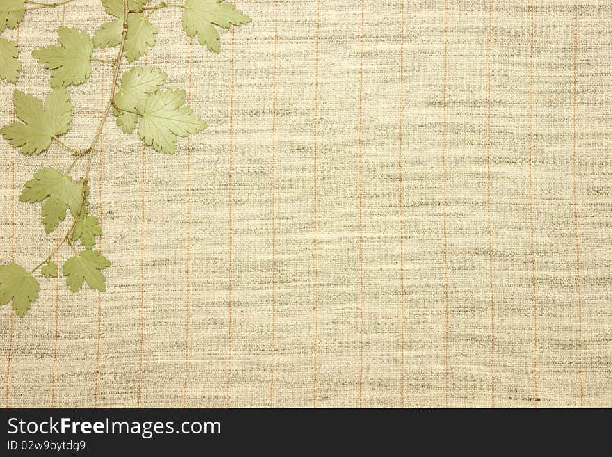 Dried green leaves over natural linen striped textured fabric textile