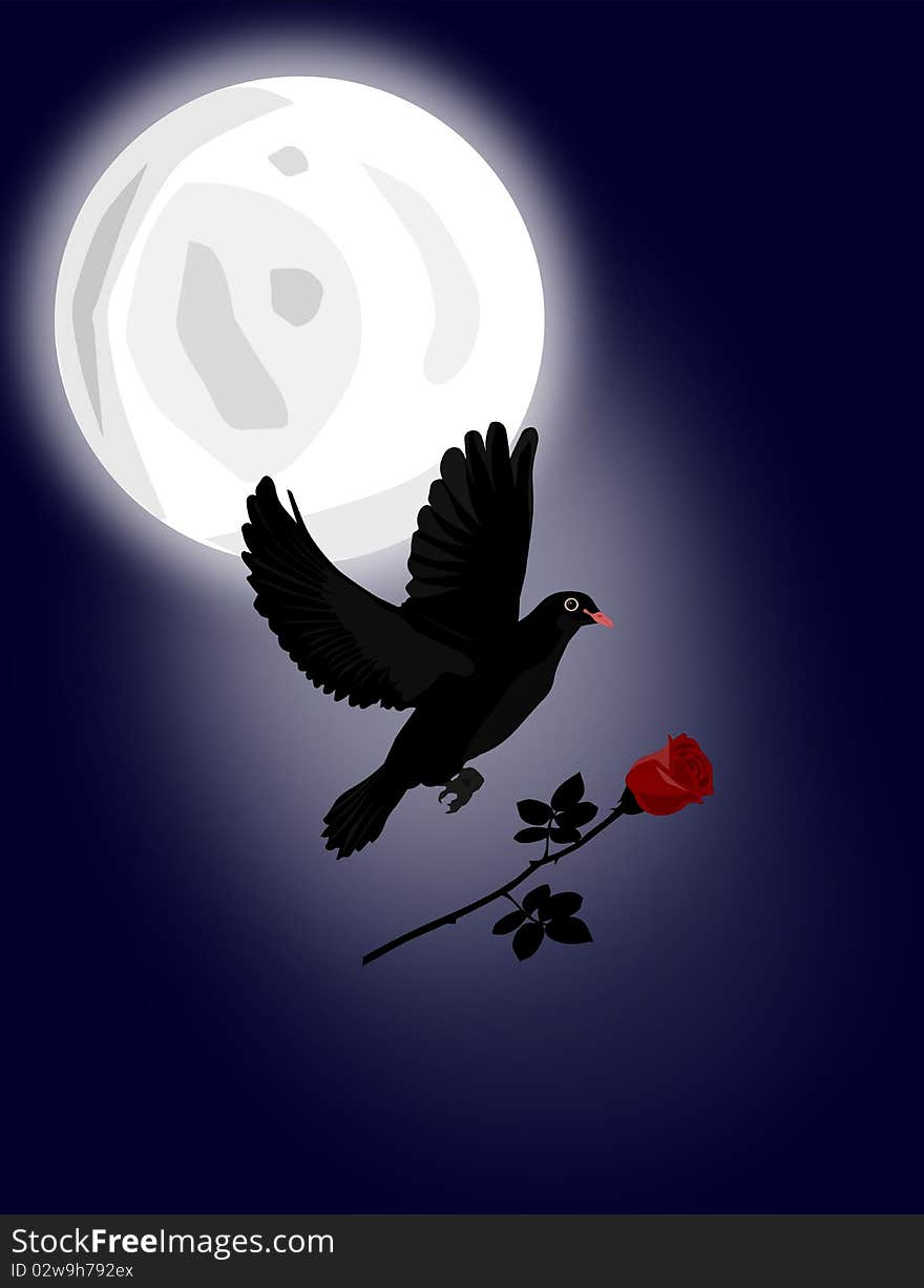 Black Dove With Red Rose