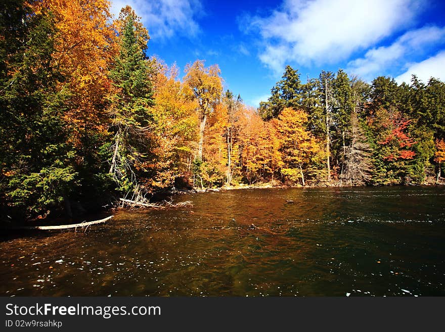 Fall Color River Bank