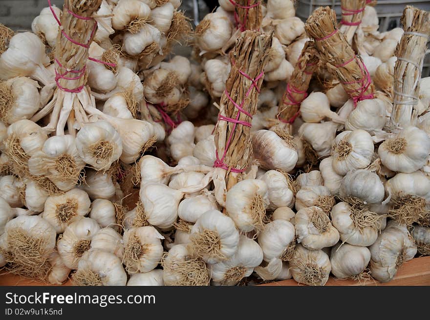 harvested garlics waiting for sale