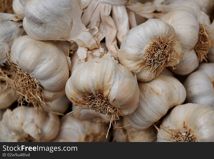 Harvested garlic waiting for sale