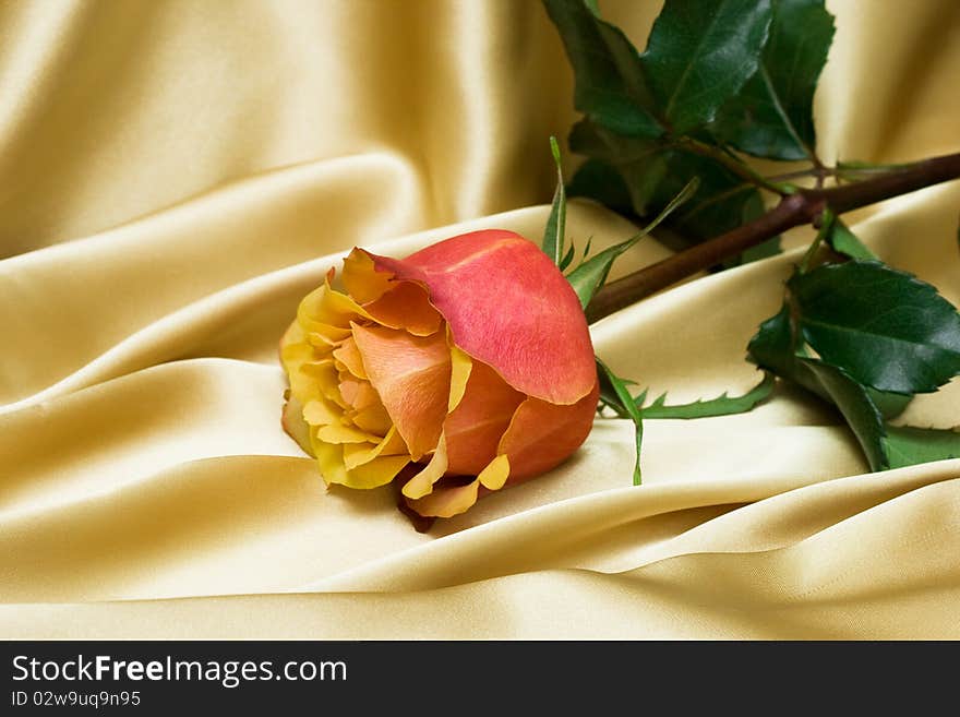 Red rose on yellow silk. Red rose on yellow silk