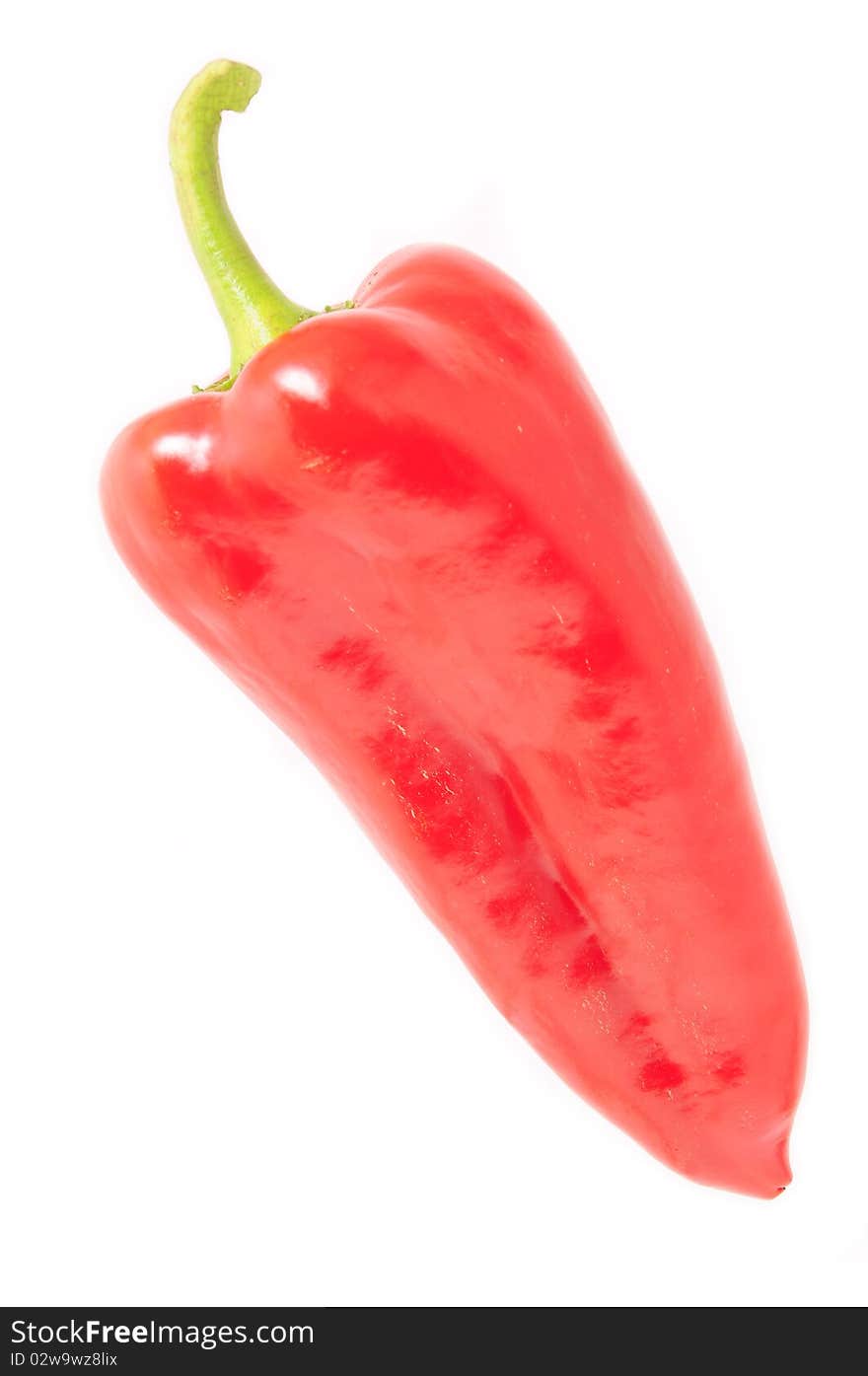 Red pepper on white background