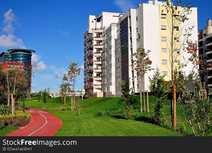 Decoration of meadows, young trees, green hills. Decoration of meadows, young trees, green hills