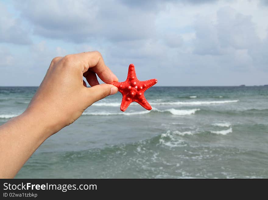 Hand holding a starfish in front of a blue sea