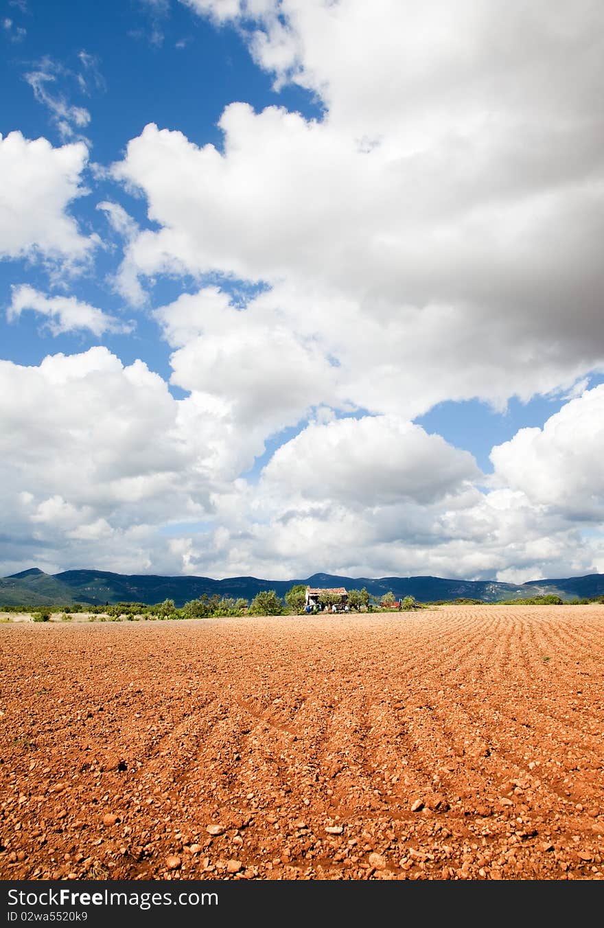 Rural landscape with planted field and little house