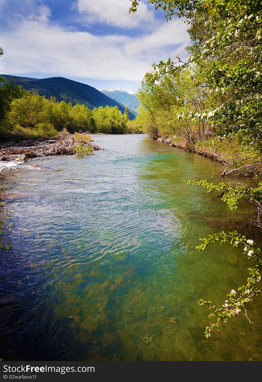 Landscape with river and vegetation. Landscape with river and vegetation