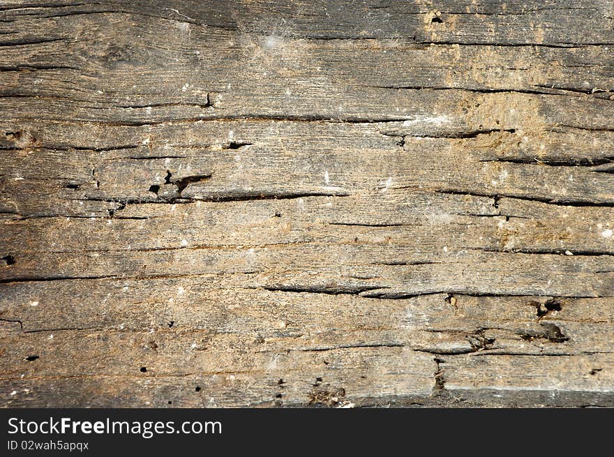 Wood Texture