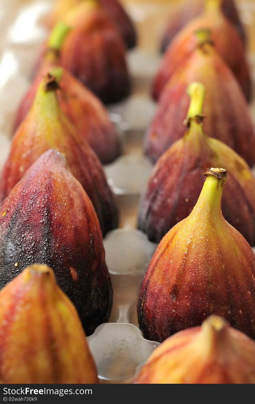 Freshly picked figs