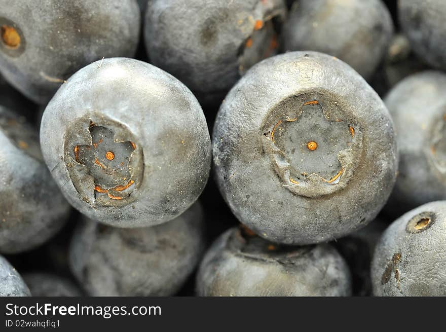 Macro shot of fresh blueberries