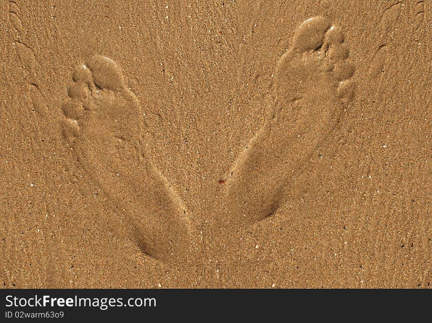 Footprints in the sand