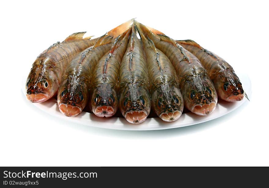 Fresh raw fish isolated on white background