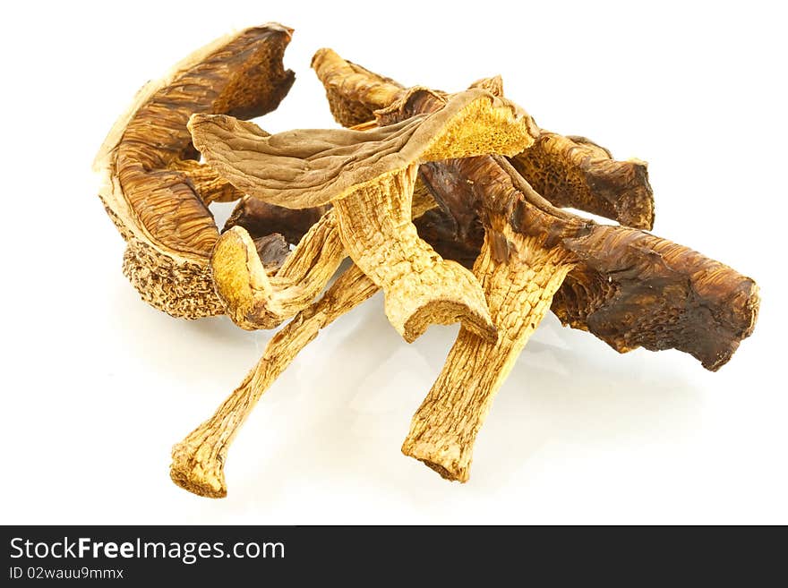 Dried Mushrooms