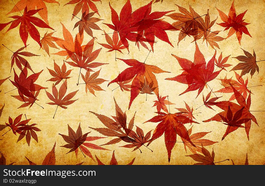 Abstract grunge autumn background