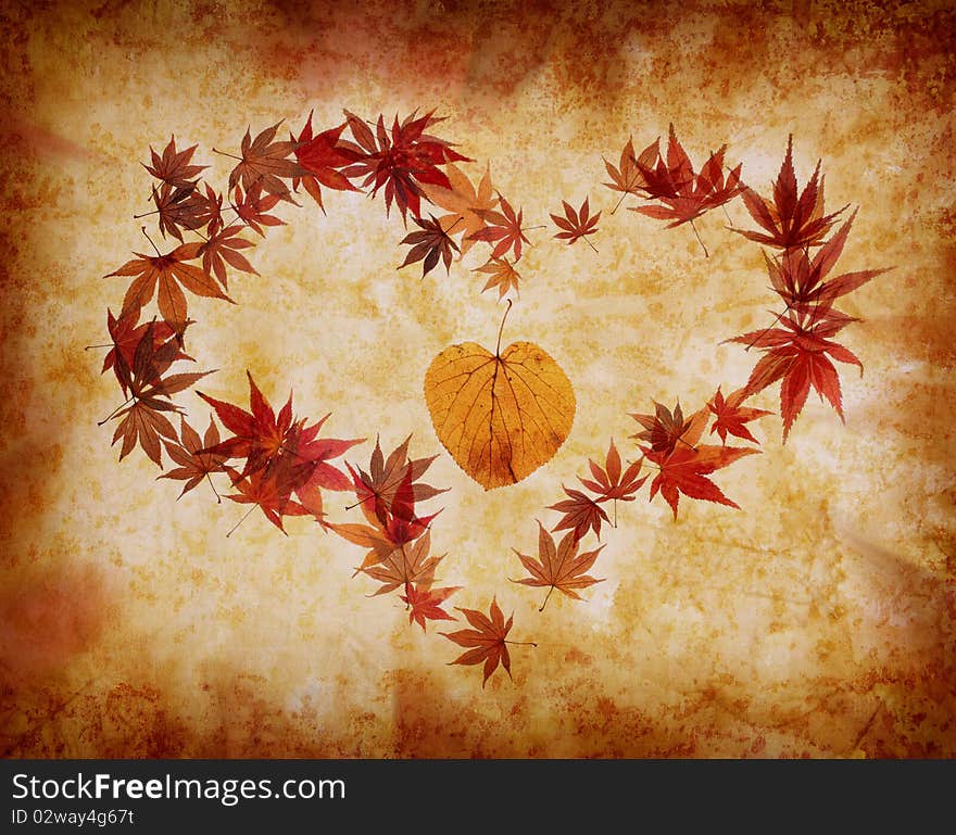 Heart shape made by leaves