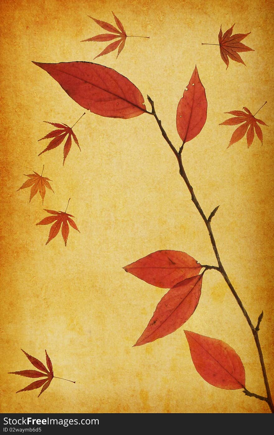 Abstract grunge autumn background for multiple uses