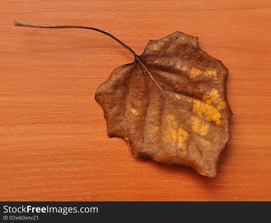 Detail of autumnal dried leaf on wood background