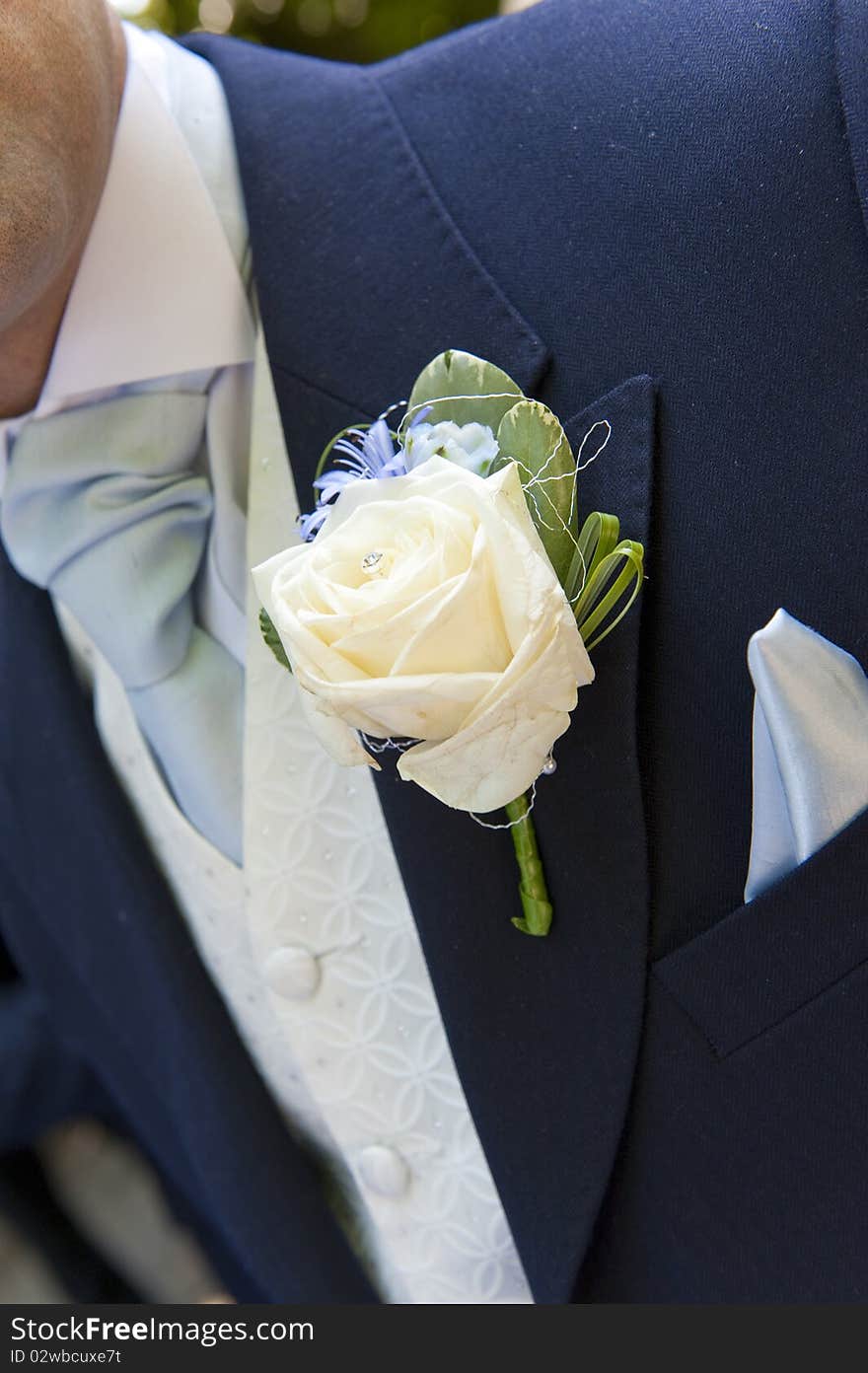 Close up of a grooms button hole. Close up of a grooms button hole