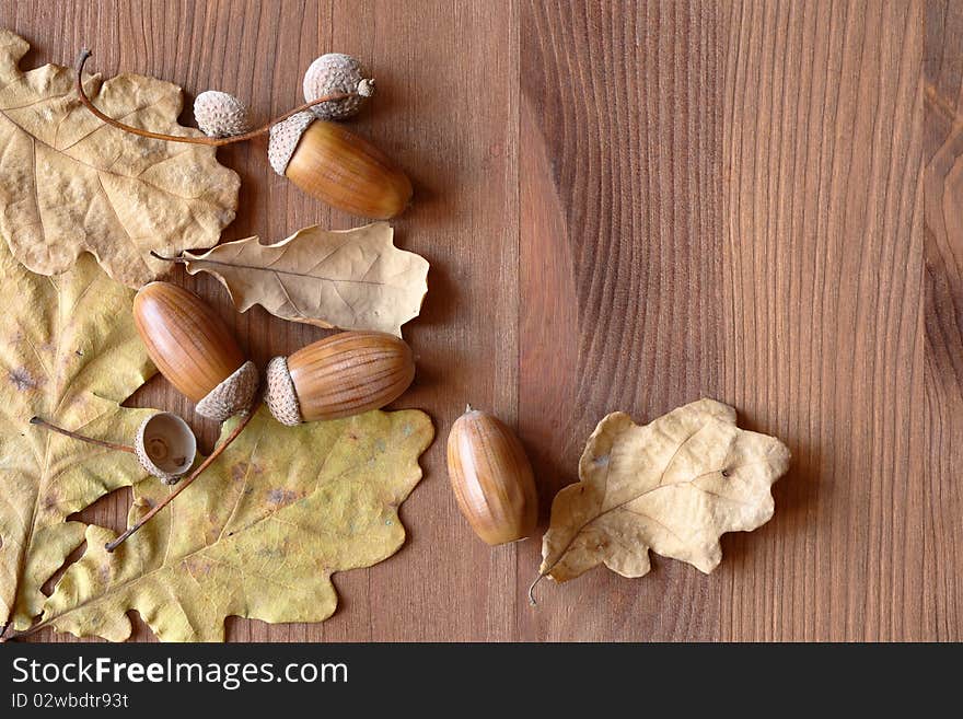 Dry oak leaves and acorns on wooden background with copy space. Dry oak leaves and acorns on wooden background with copy space