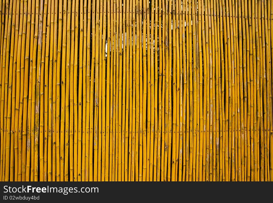 Beautiful Yellow bamboo fence background