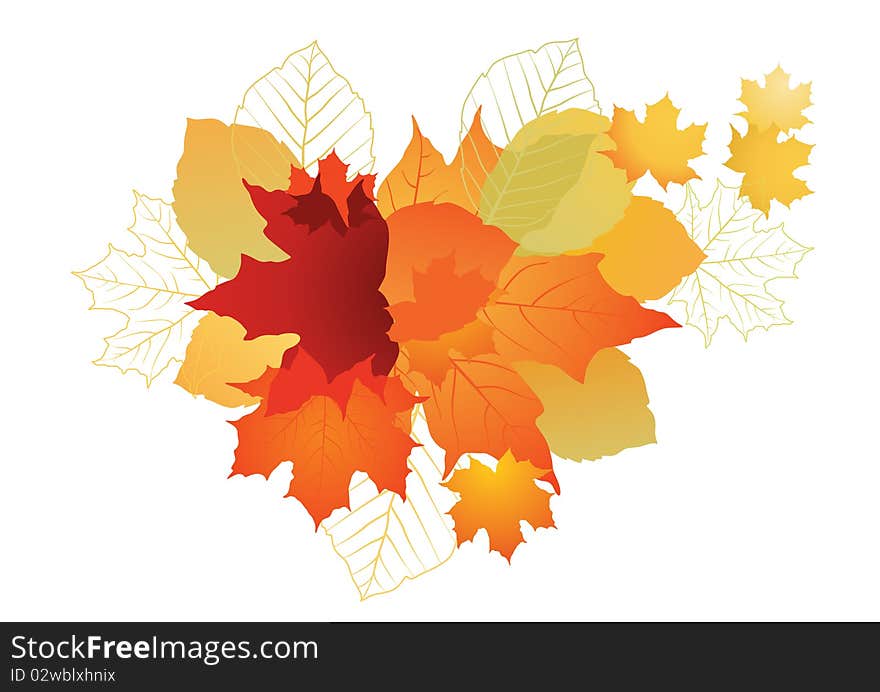 Vector illustration of autumn leafs for background.