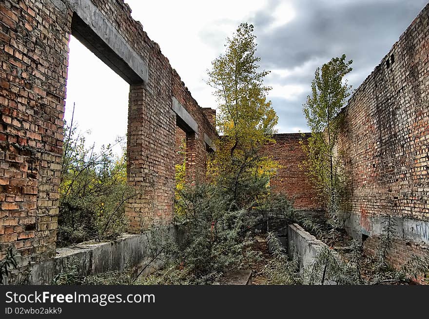 Autumn colors.Lost city.Near Chernobyl area.Kiev region,Ukraine