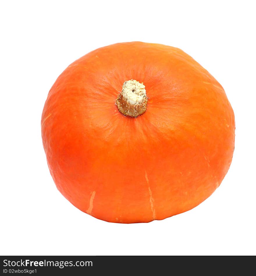 Pumpkin - Top View