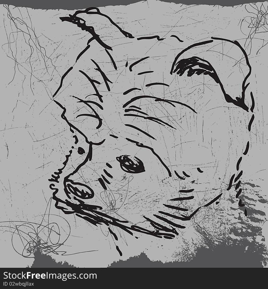 Hand drawing dog-s head, vector illustration