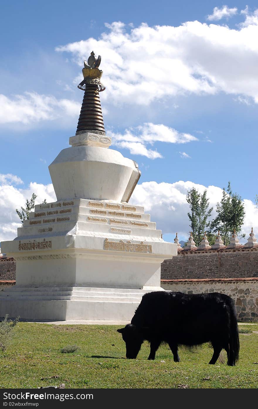 Scenery of a white pagoda(stupa) with a black yak on the meadow in Tibet. Scenery of a white pagoda(stupa) with a black yak on the meadow in Tibet.