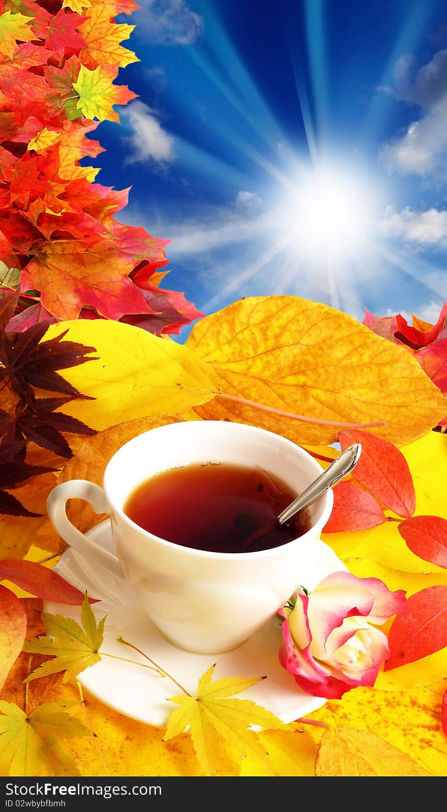 Cup of tea and fall background with colored leaves