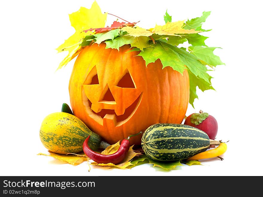 Studio shot of orange halloween pumpkin isolated on white. Studio shot of orange halloween pumpkin isolated on white