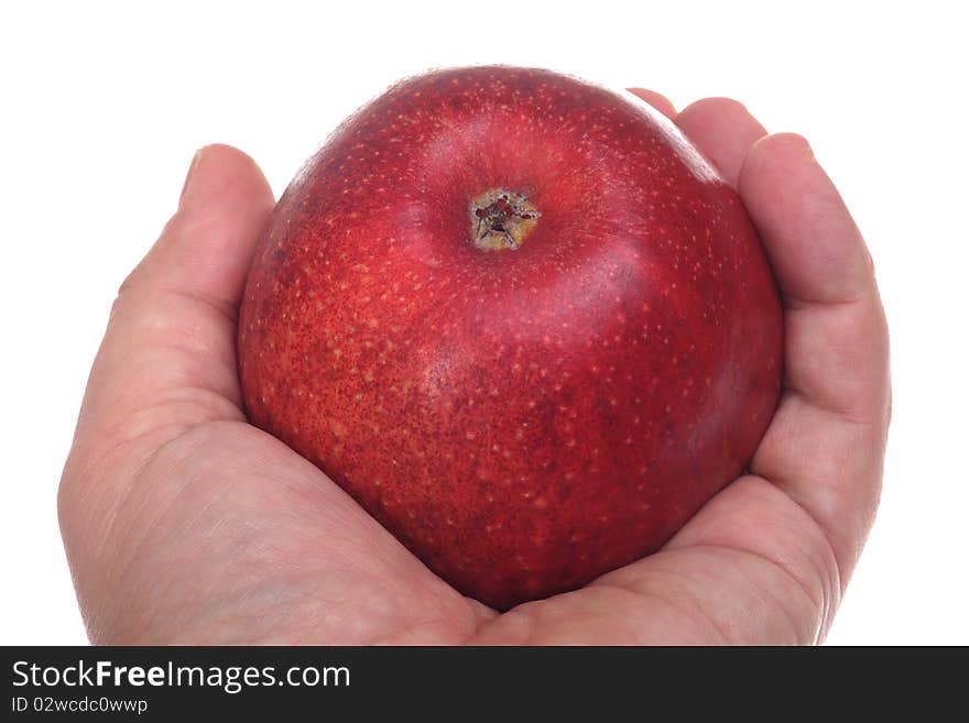 Red apple in hand