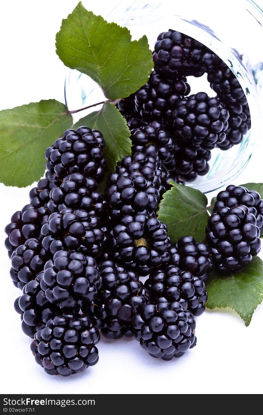 Blackberries