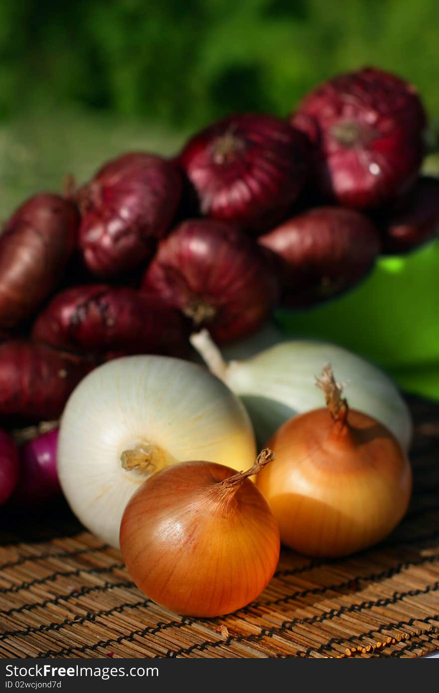 Onion Family