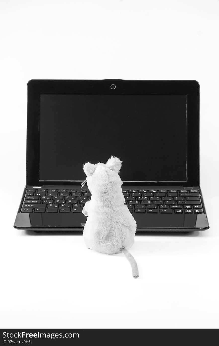 Laptop and mouse