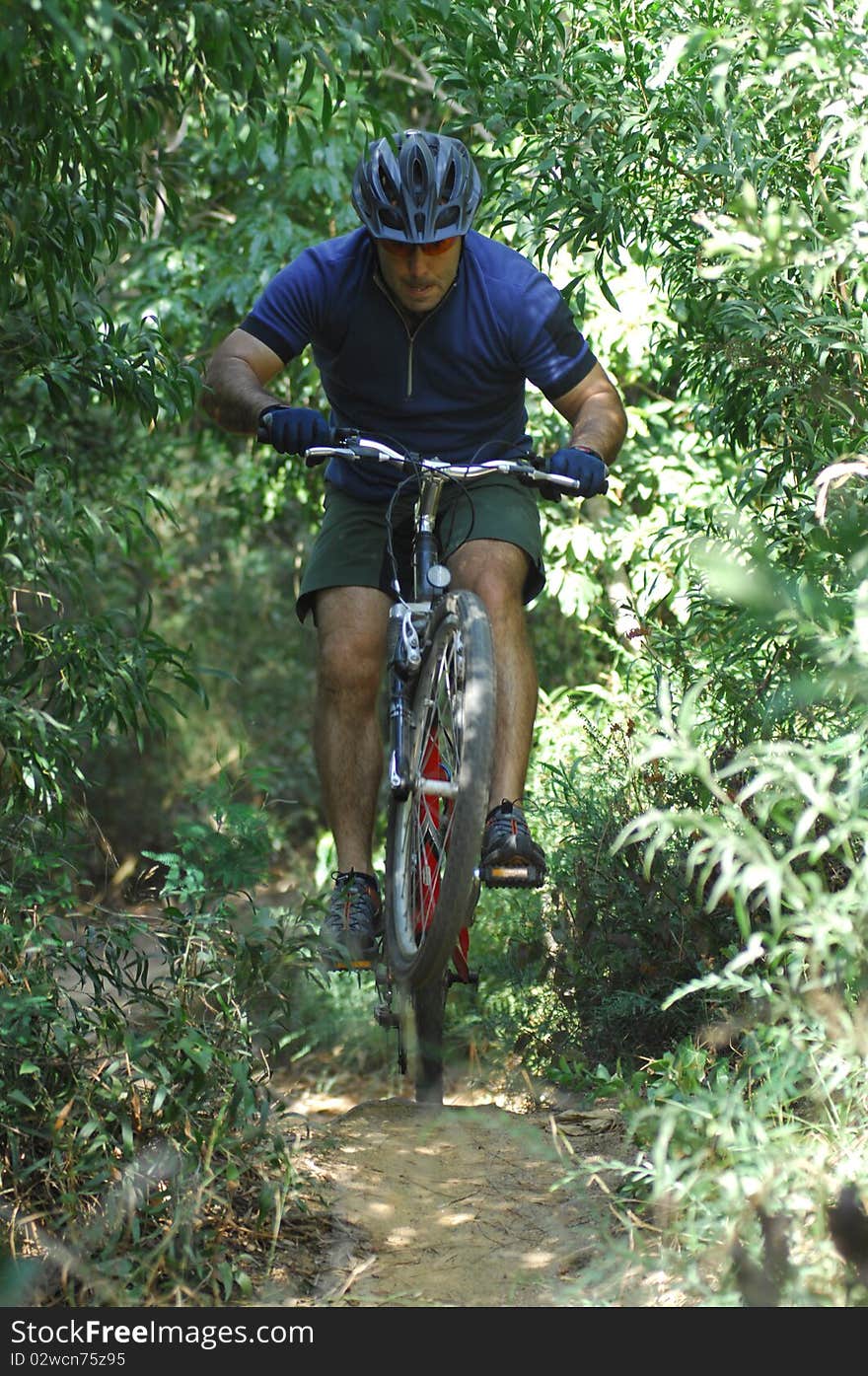 Biker in action on a sigle track