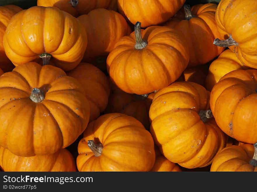 Pumpkins