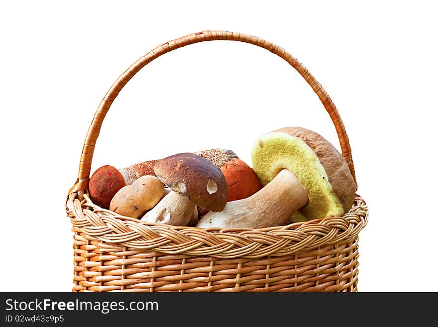 Mushrooms In A Basket.