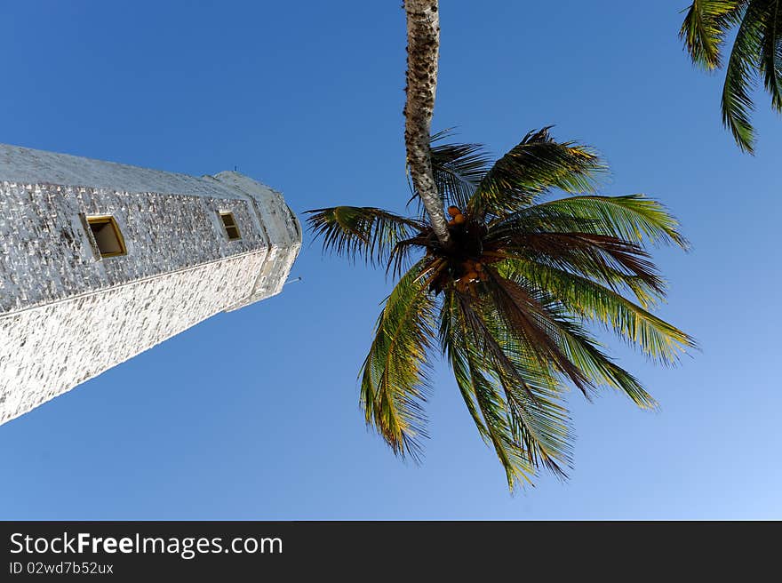 Lighthouse between palms