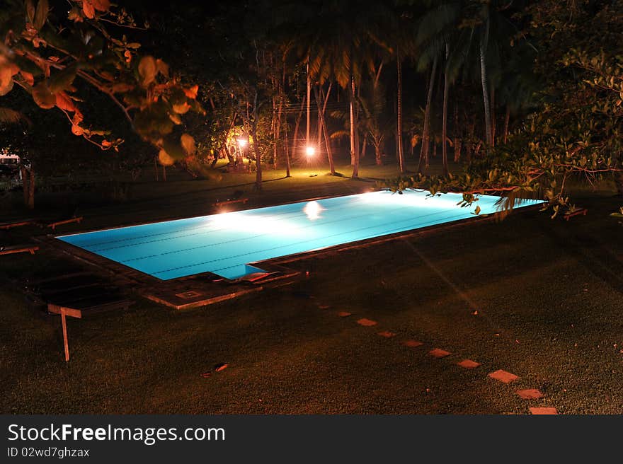 Paradise pool and palms by night. Paradise pool and palms by night