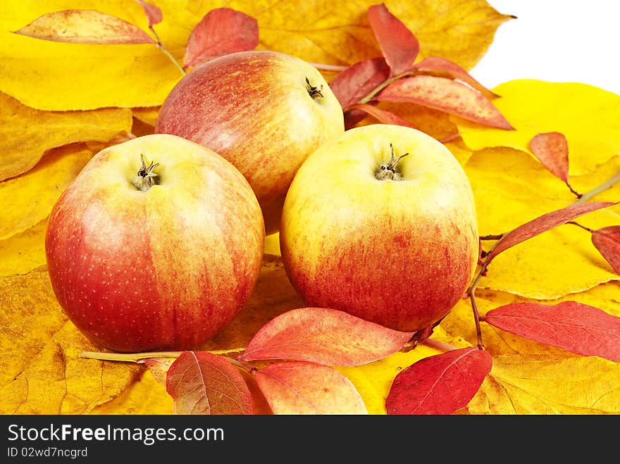 Apples and colored fall foliage background