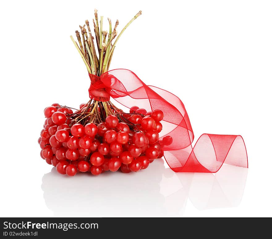 Bunch of ripe arrowwood berries. Isolated over white. Bunch of ripe arrowwood berries. Isolated over white