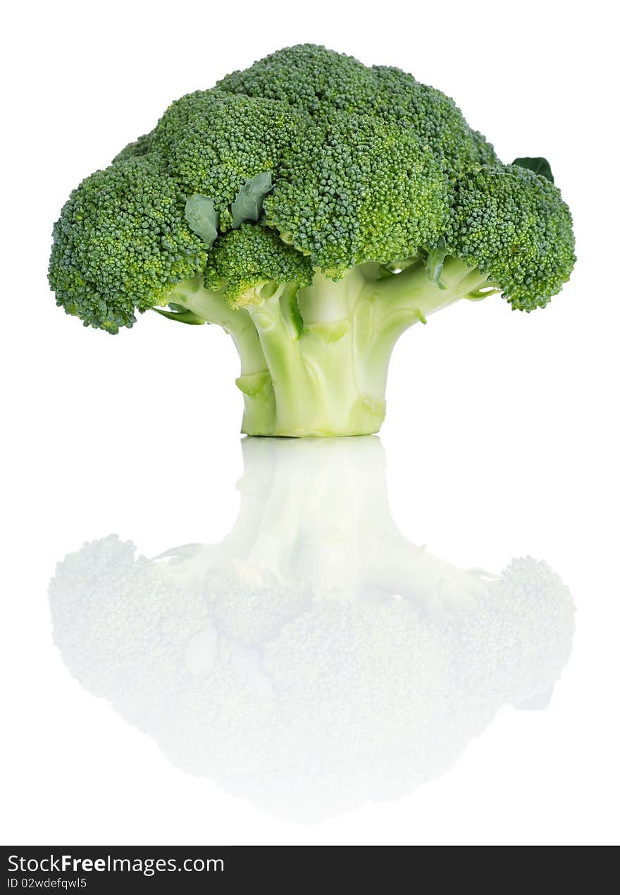 Broccoli looking like a tree. Isolated over white. Broccoli looking like a tree. Isolated over white