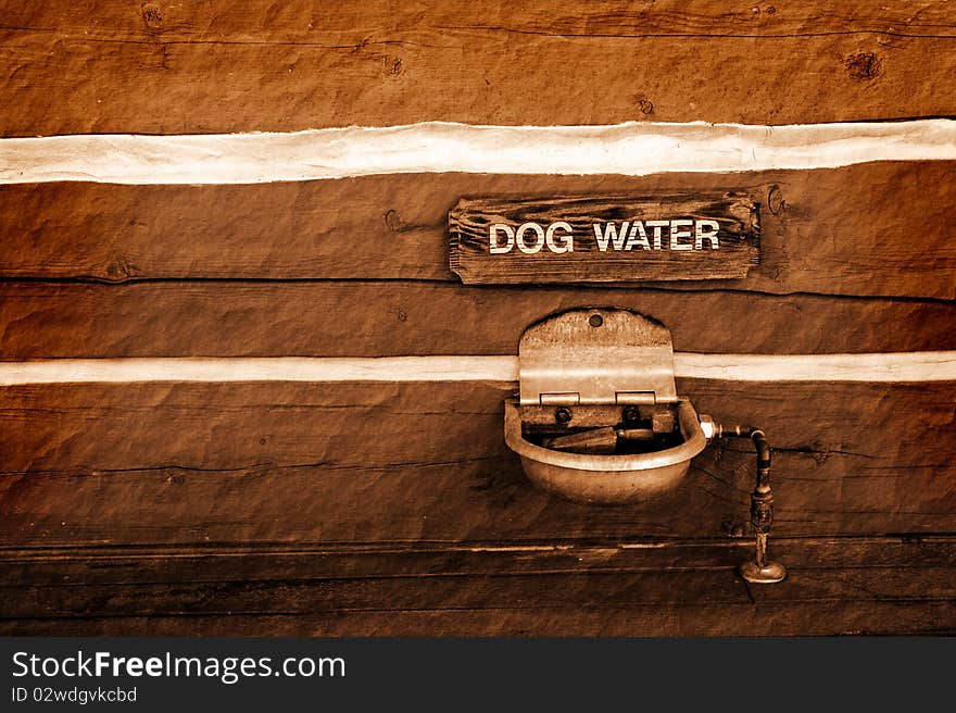 Dog Water Fountain