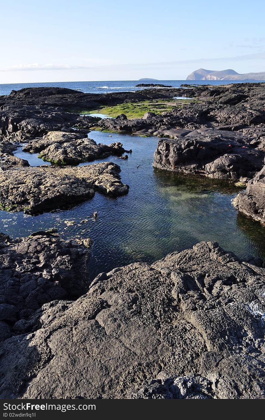 Galapagos Volcanic Rock