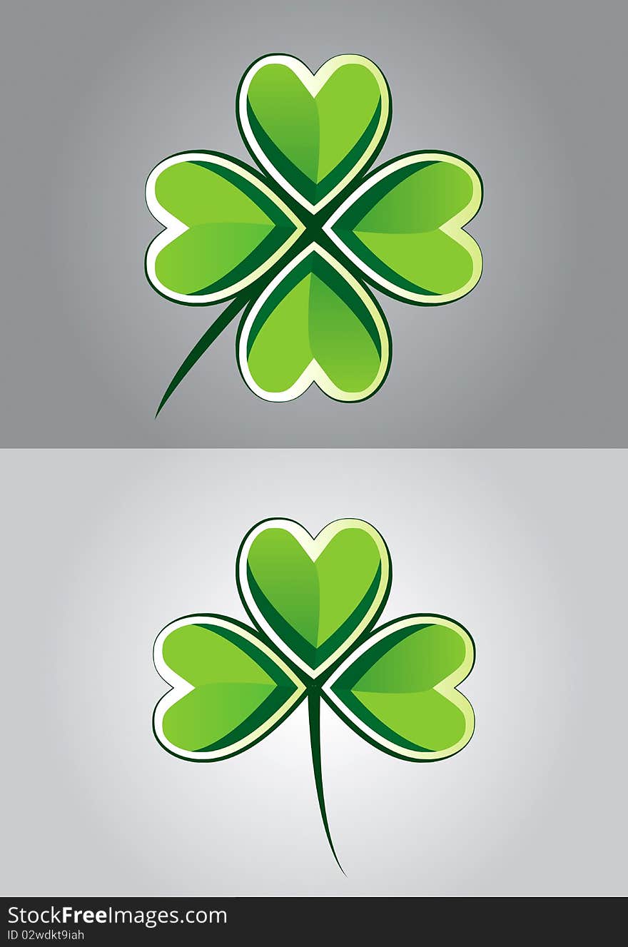 Drawing of three and four leaf clover. Drawing of three and four leaf clover