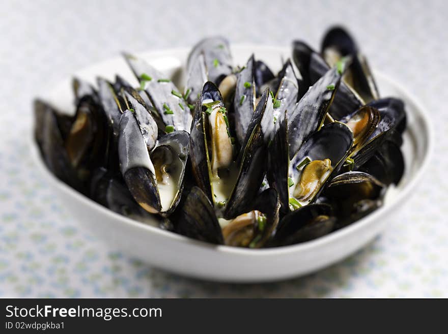 Mussel with white wine sauce  on a plate. Very shallow depth of field. Mussel with white wine sauce  on a plate. Very shallow depth of field.