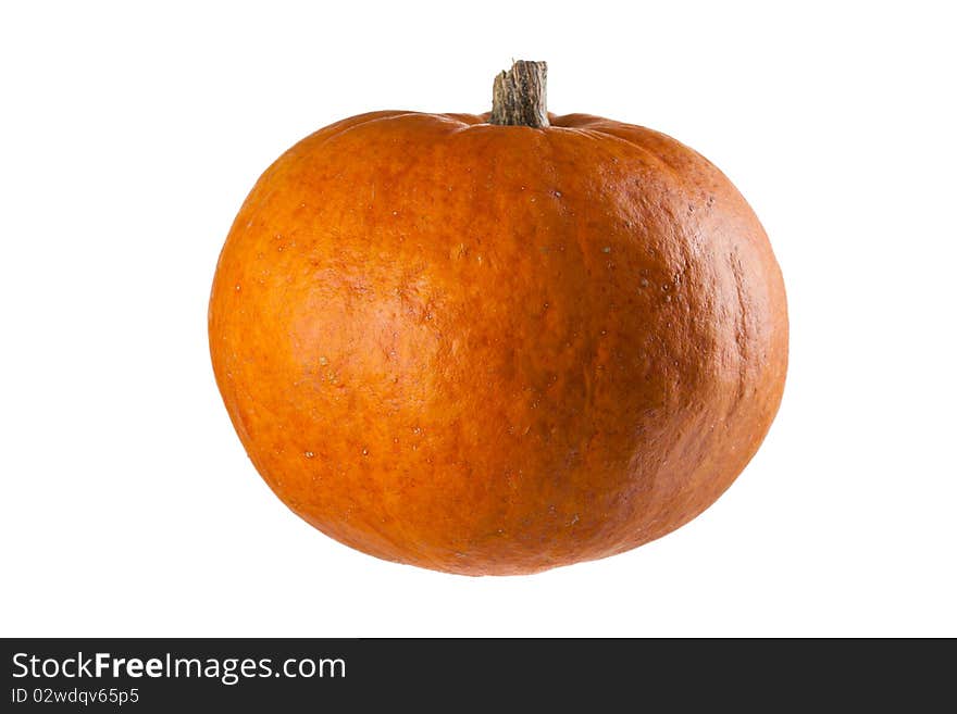 A perfect pumpkin ready for you to add a face. This is a real grown pumpkin, not foam or plastic.