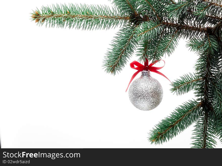 Christmas ornament on the tree.