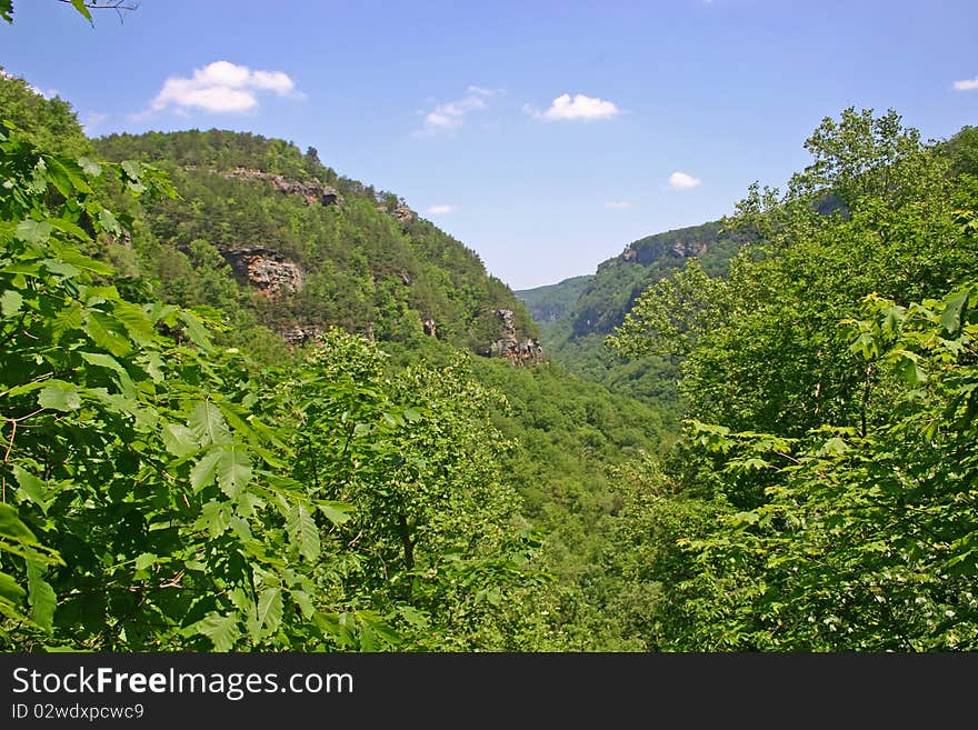 Cloudland Canyon 1